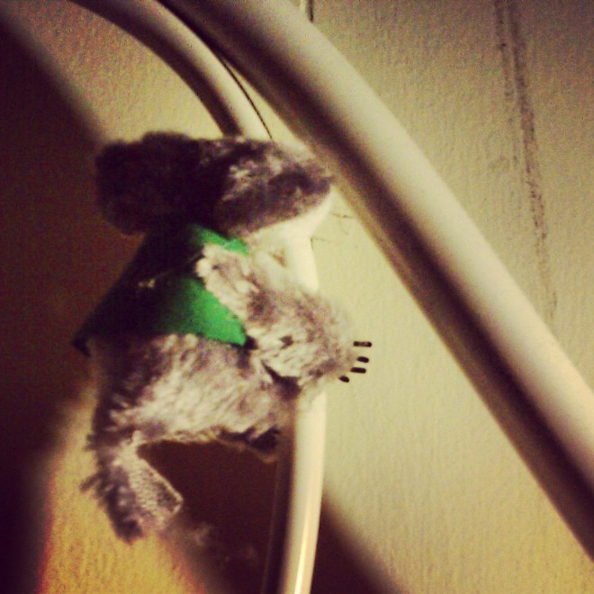 Day 26 - I nearly forgot to post a photo today. I don't have a pet but will this little guy do?