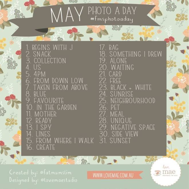 Photo a Day guidelines - by Fat Mum Slim