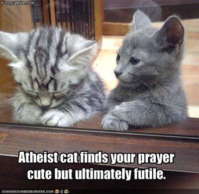 Atheist Cat - pic by Cheezburger