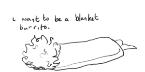 blanket burrito