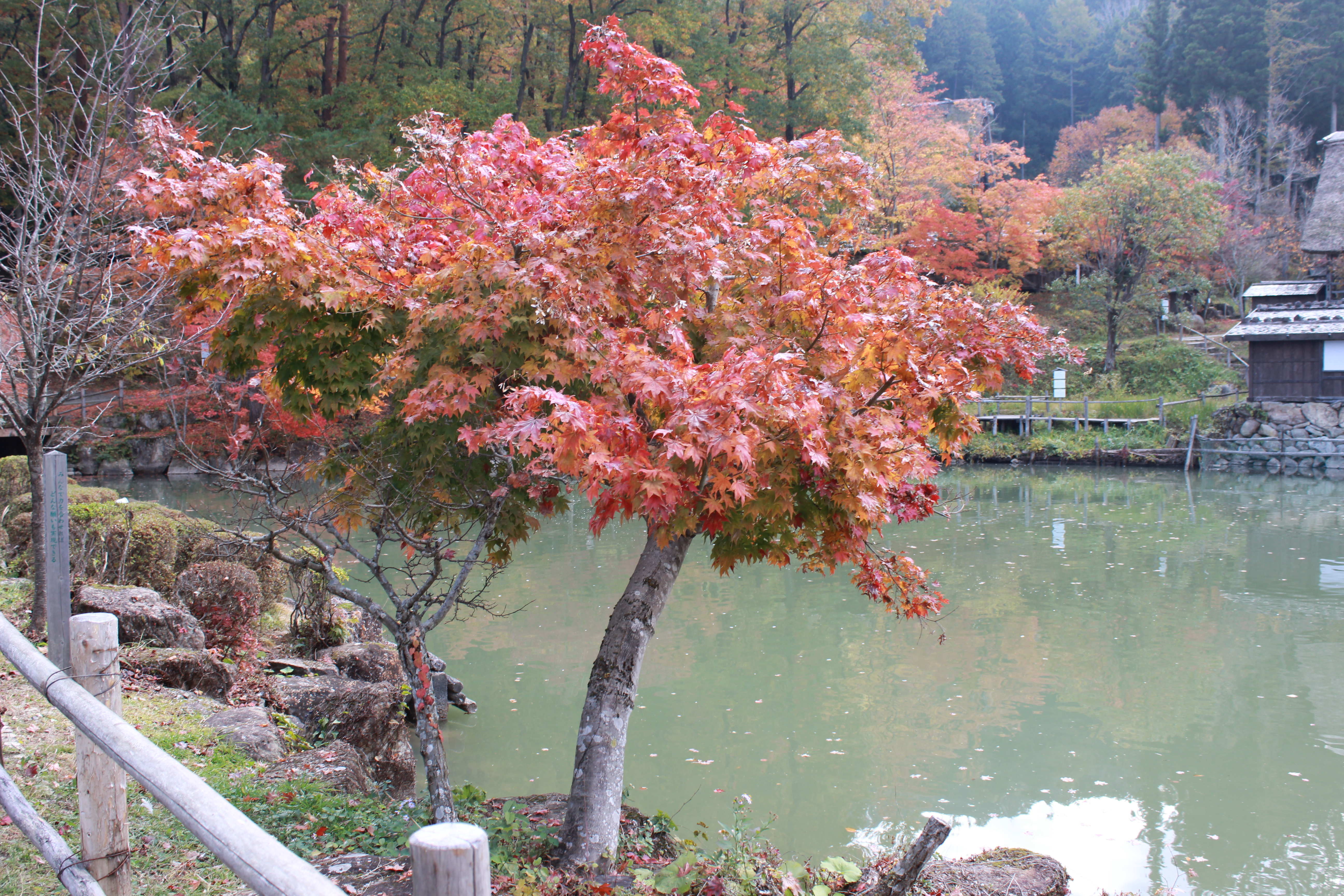 Hida, takayama, japan