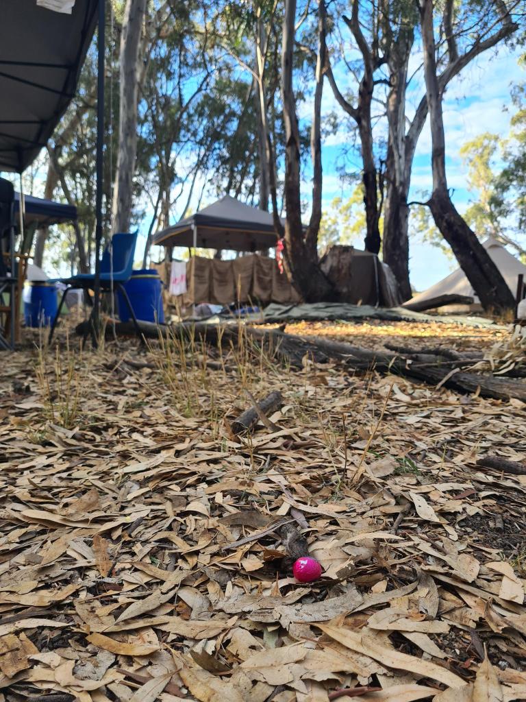 Bush scene with tents in the background, yellow leaves in the foreground and a small pink easter egg
